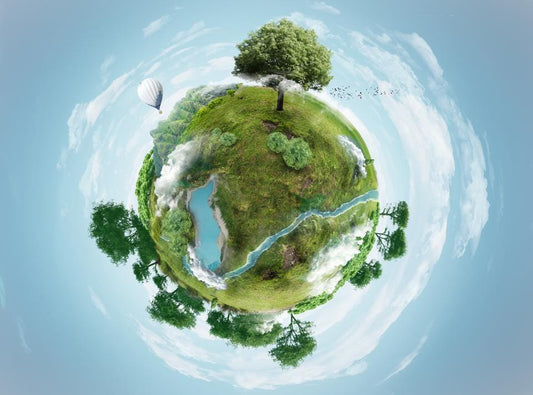 Sustainability