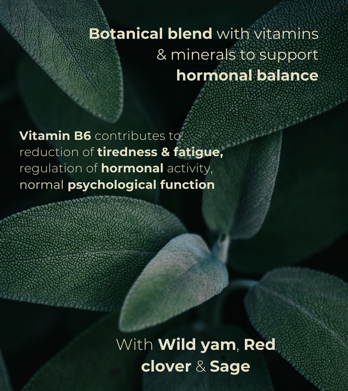 Close-up of sage leaves in a dark green setting. Overlaid text reads: “Botanical blend with vitamins & minerals to support hormonal balance. Vitamin B6 contributes to: reduction of tiredness & fatigue, regulation of hormonal activity, normal psychological function. With Wild Yam, Red Clover & Sage.”